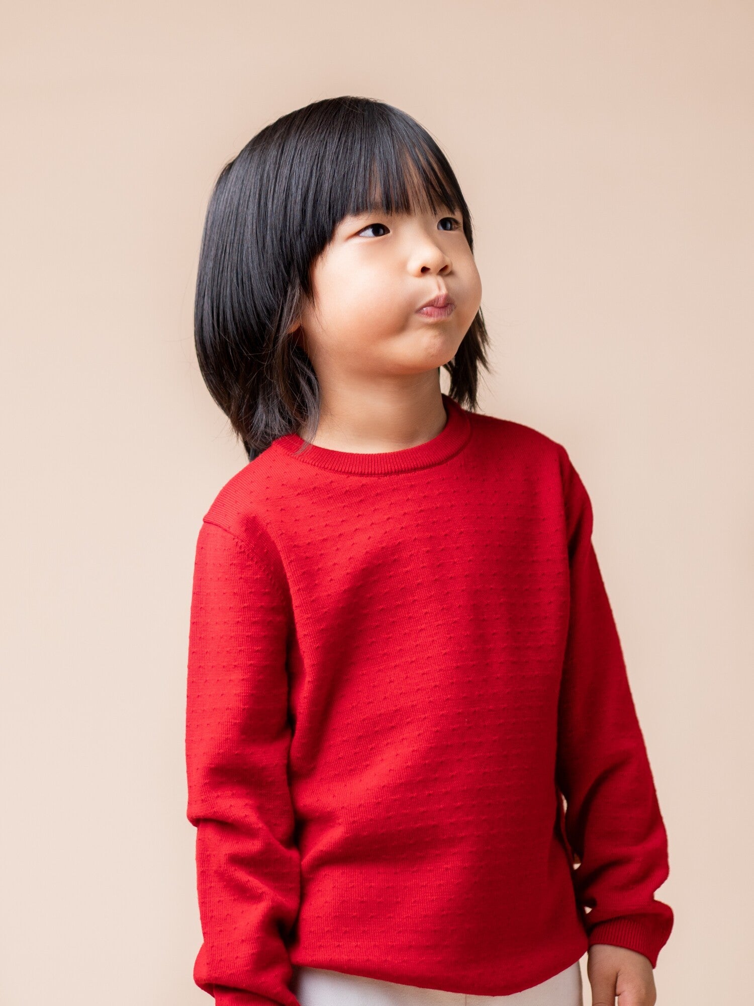 ArborTree Merino Wool fall and winter sweater for boys and girls, warm, Grade A standard, naturally sourced kids' clothing.