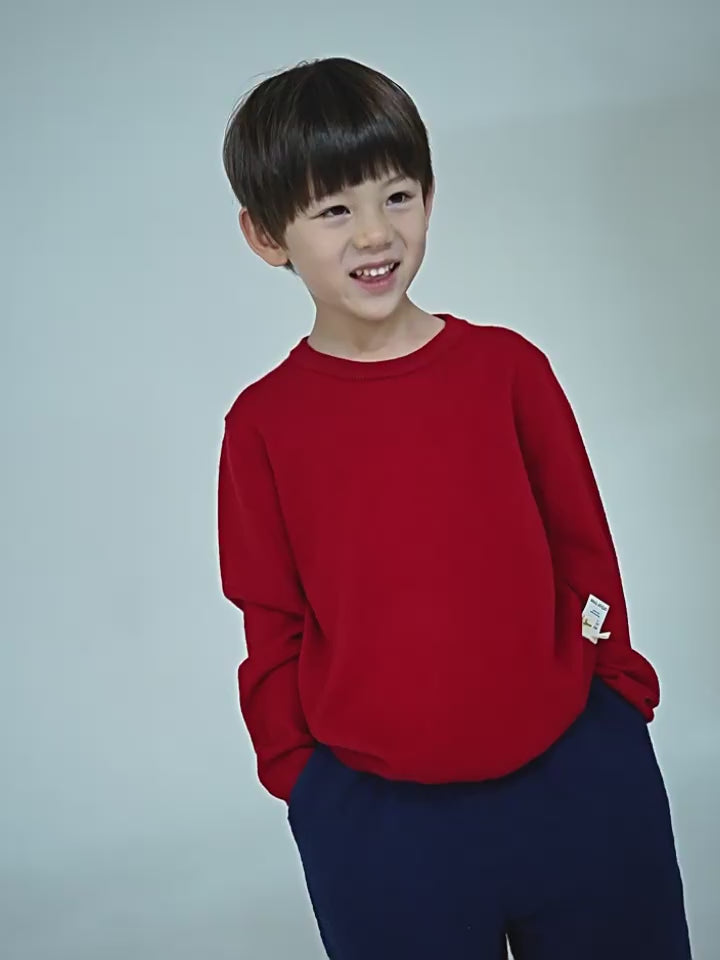 ArborTree Merino Wool Fall/Winter Sweater for Boys and Girls – Warm Wool Sweater, Grade A Standard