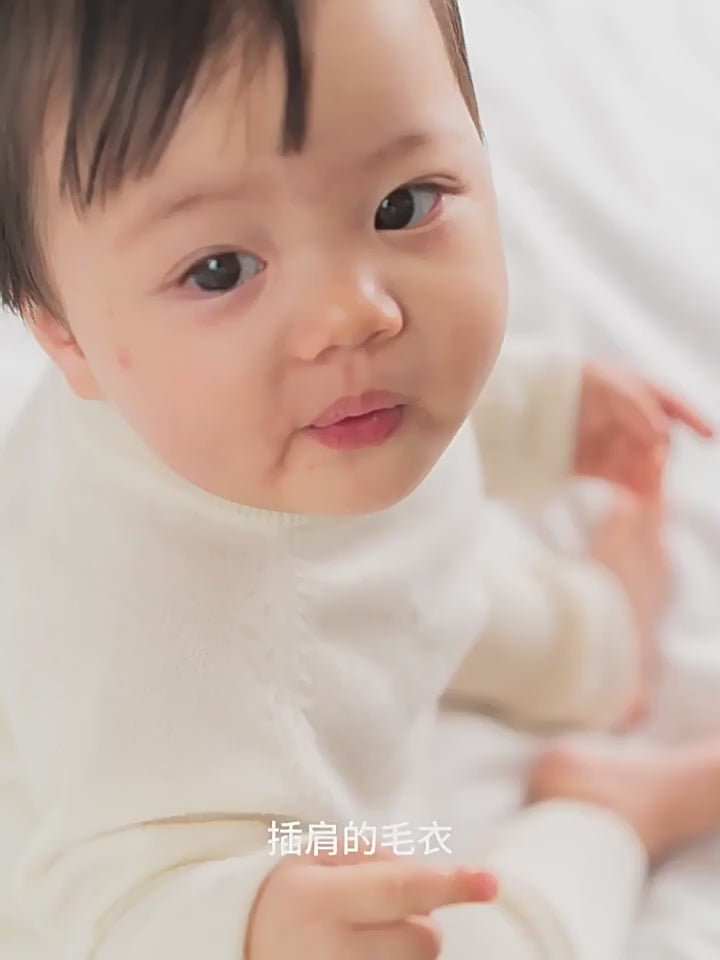 ArborTree  100% baby cashmere raglan top