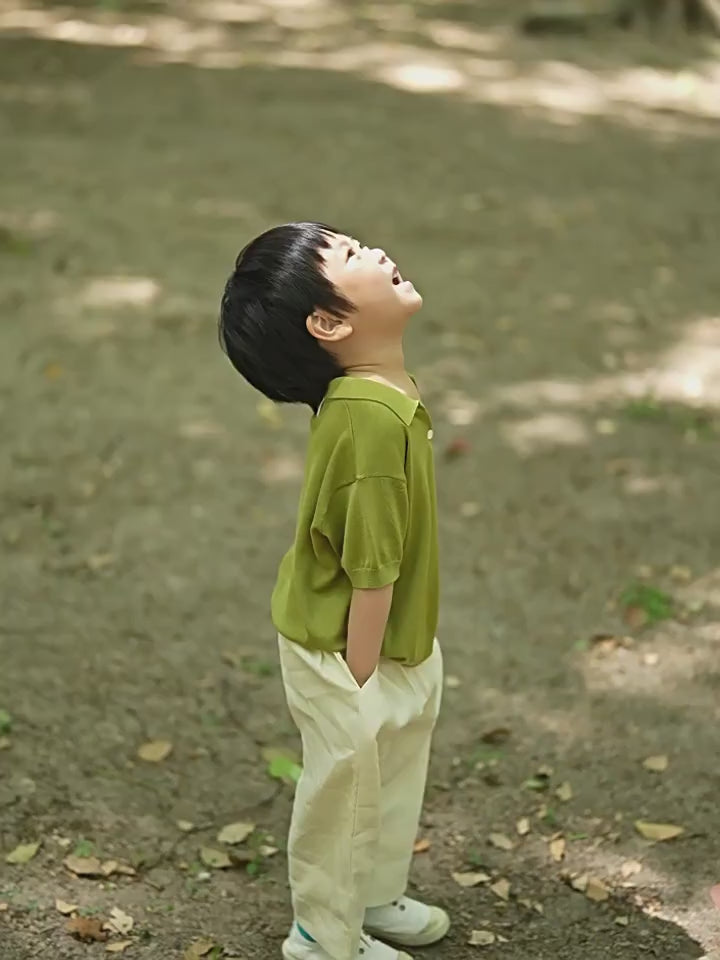 ArborTree 100% superfine wool baby lapel short-sleeved T-shirt short-sleeved tops